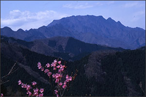 両神山イメージ