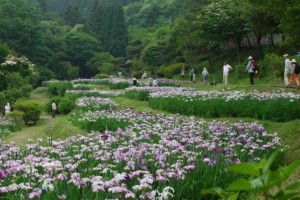 DSC_0001-624x416