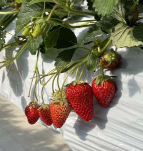 F6DCDC32-EDDE-4B17-8AAE-234B5D026177